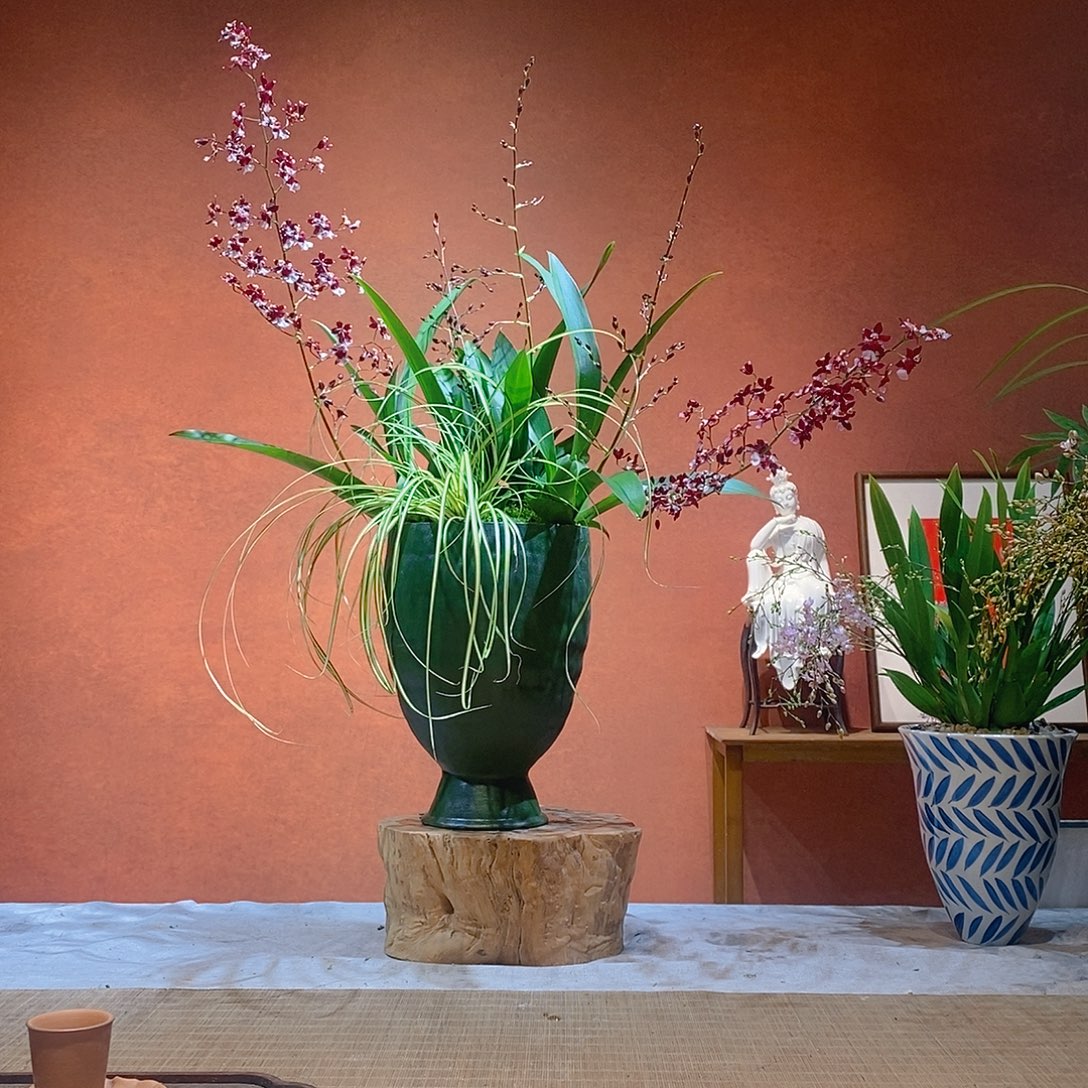 一***y无花朵老桩精品竹盆景作品