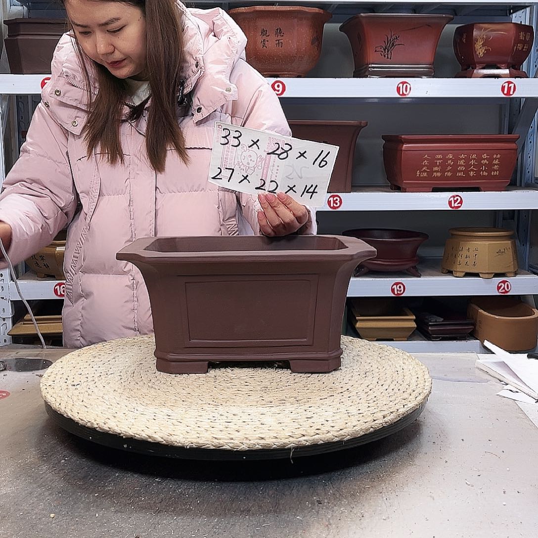 紫砂花盆紫砂花盆中