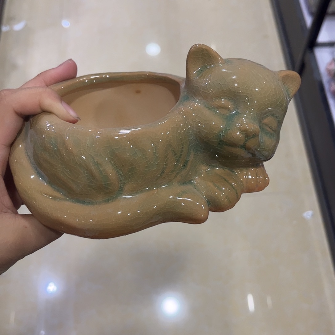 满20飞花盆爱退款拉黑