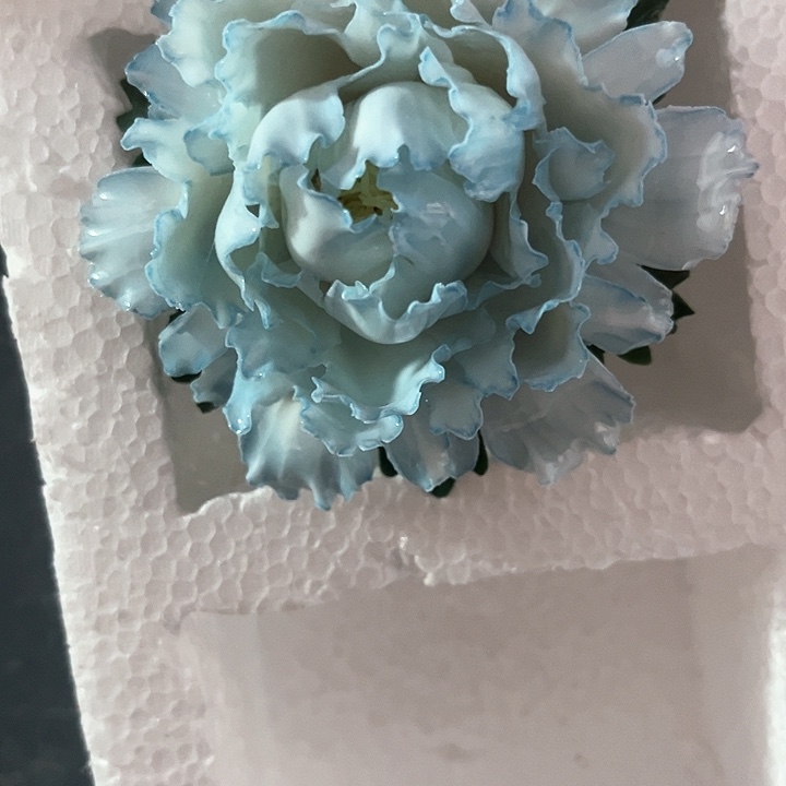熙***叶正品陶瓷手工花花拍下备注颜色