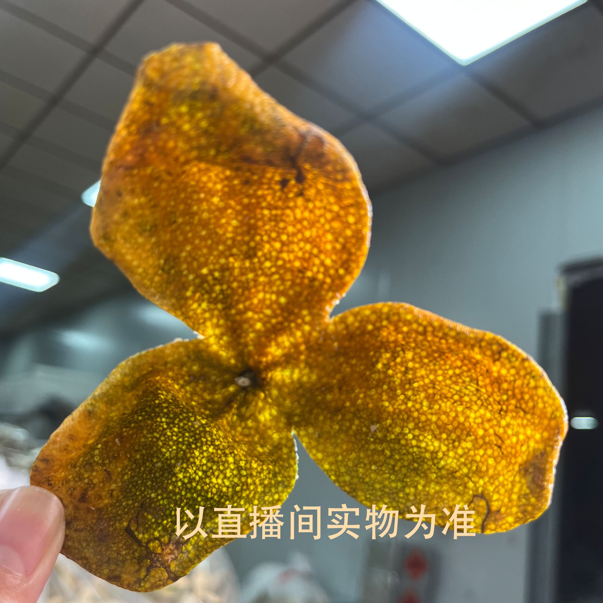 新会天马 9-10年老树圈枝二红皮 纯生晒藏家级