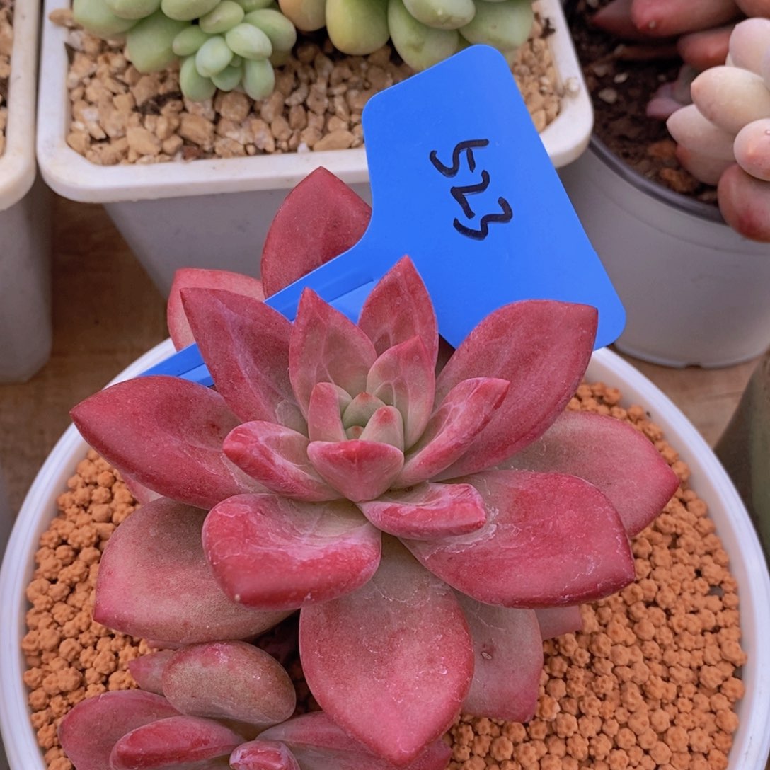 清货专场，仅限今天