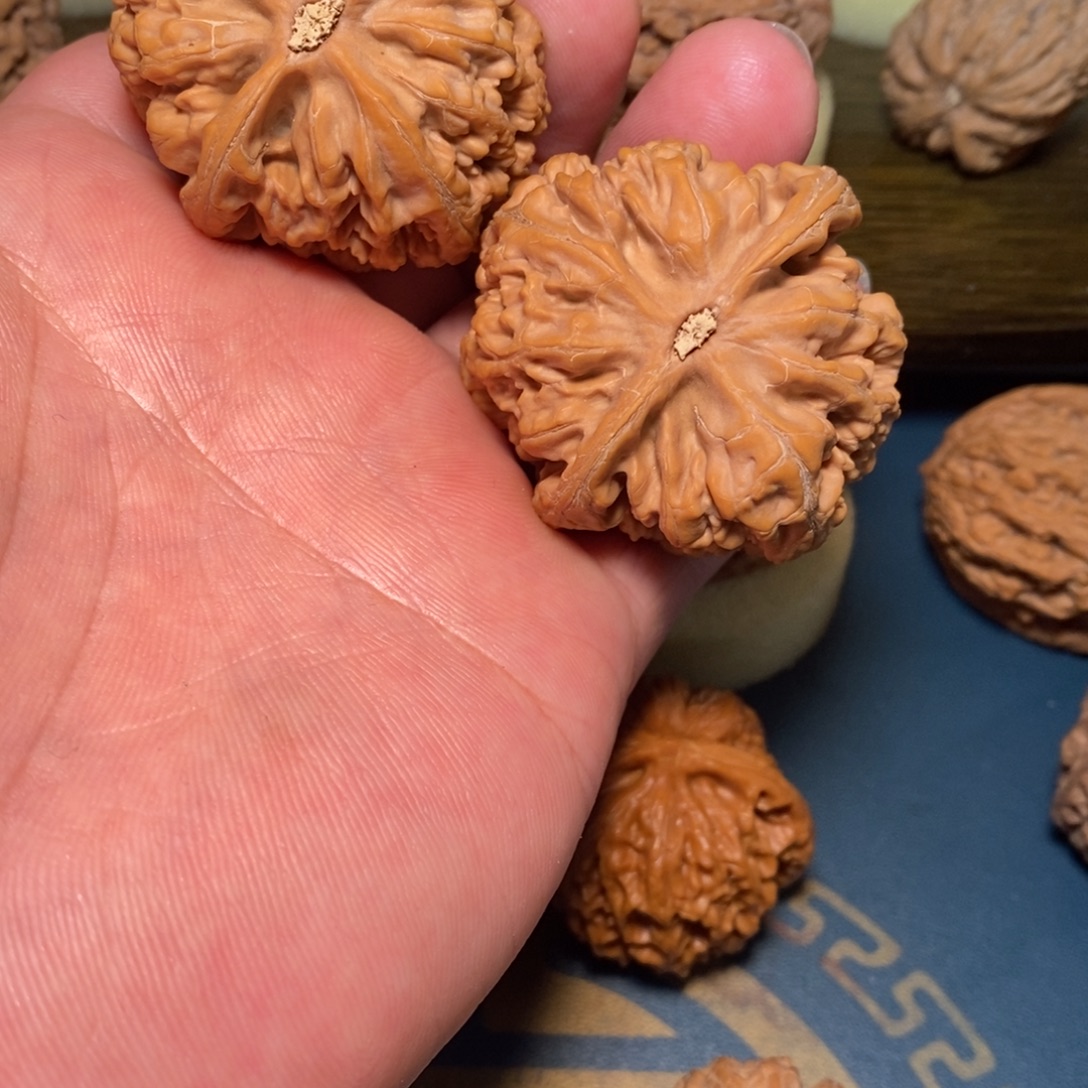 贝***在吊坠文玩核桃文玩核桃大粗筋