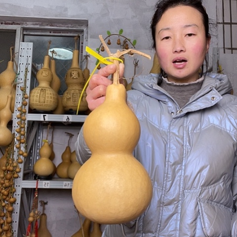 H***y天然植物葫芦文玩