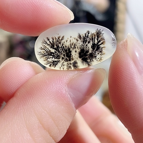 玛瑙/玉髓珠宝奇石未镶嵌