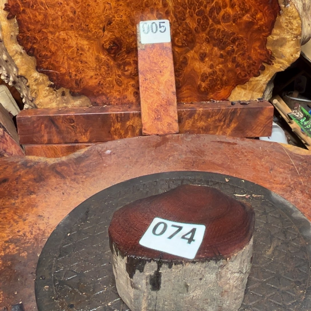 大果紫檀（缅甸花梨）