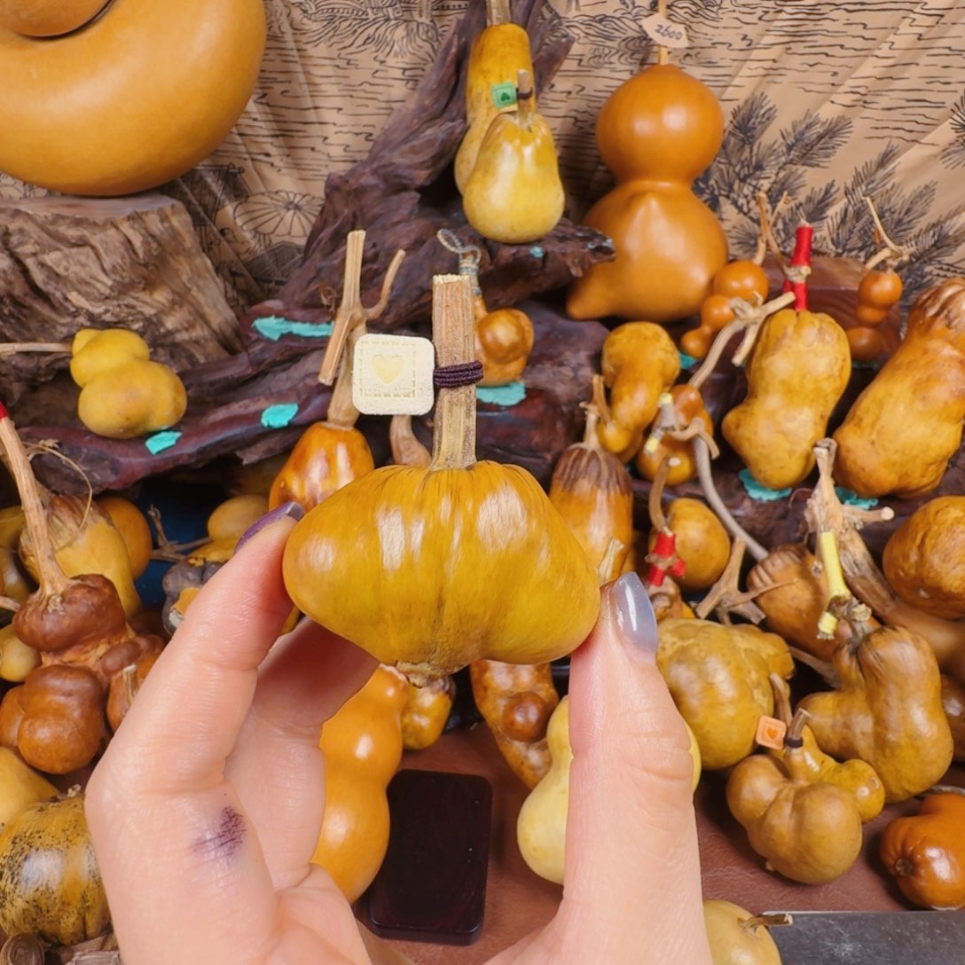 虓***兔兔图兔兔小心翼翼