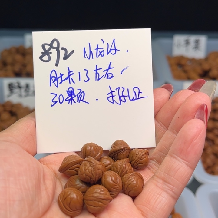 桃核把件小龙纹13尺寸