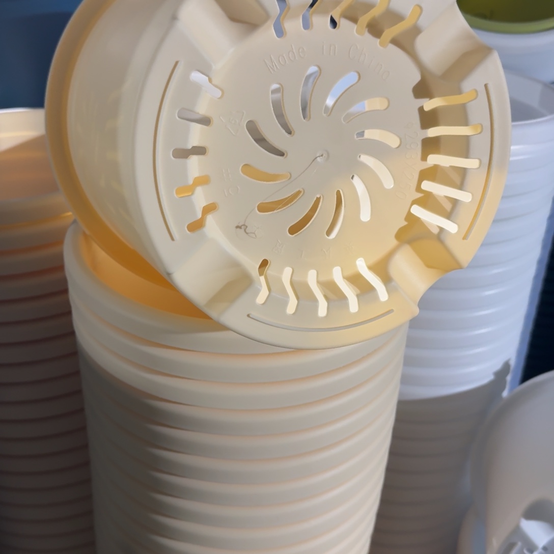 四季5号10个米黄色的