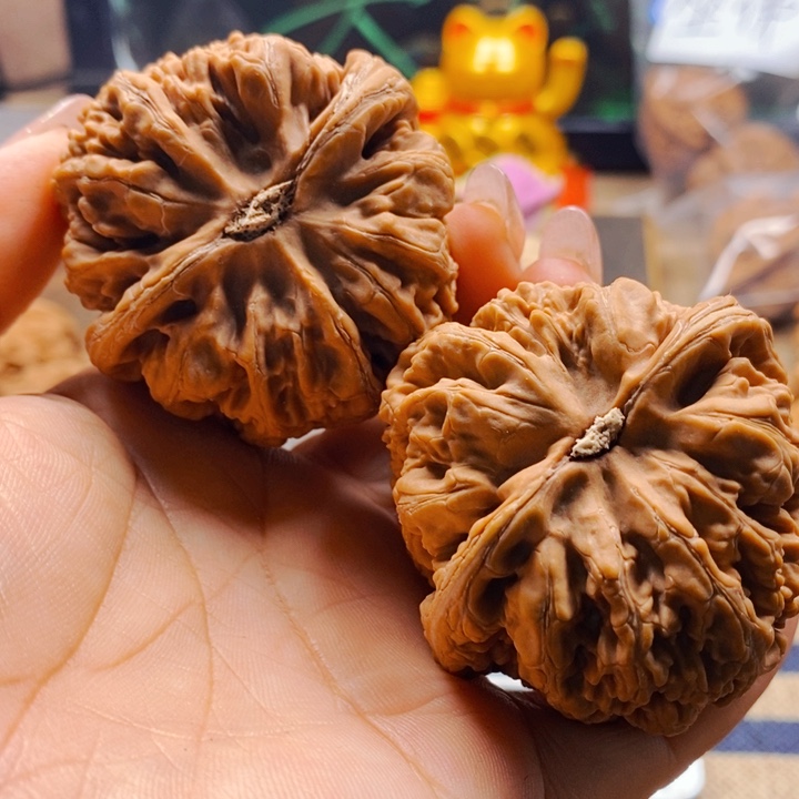 呓***语文玩核桃把件粗筋