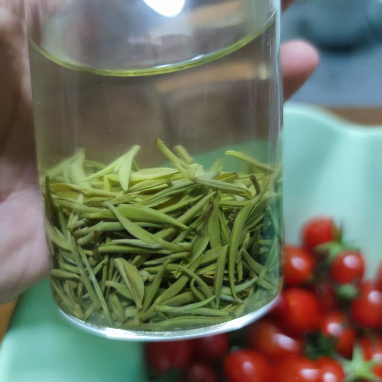 【早期小芽】信阳毛尖信阳茶山直发高山云雾茶2025新茶炭火烘焙绿茶