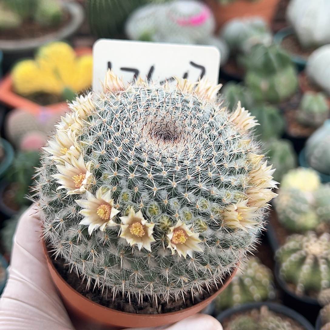 测的的吧饿了来咯哦哦咯