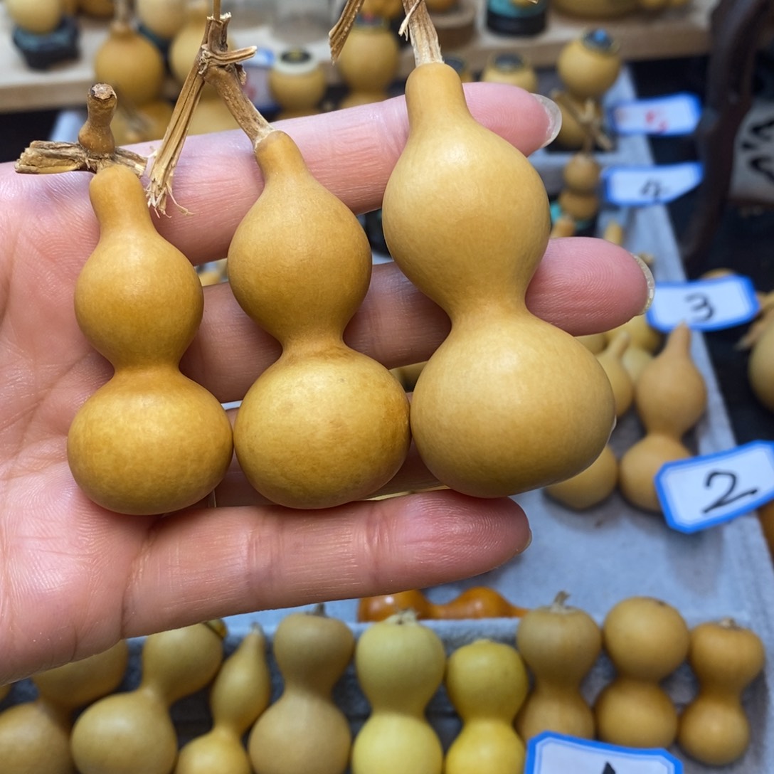 团***l直播间手把手小胡的