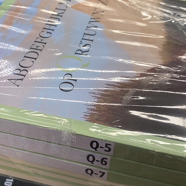 晨晨家R Z合订本Q级，5-10