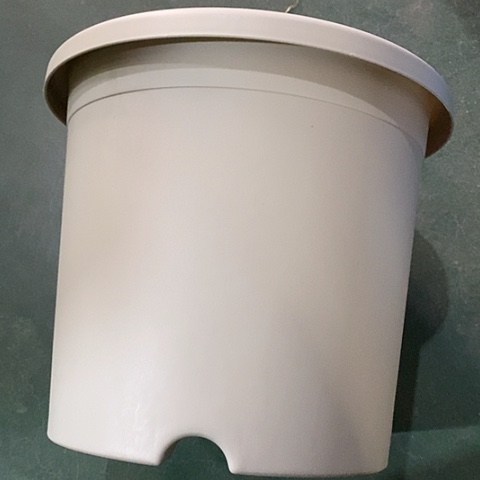 树脂四季5号灰白无托6个微瑕