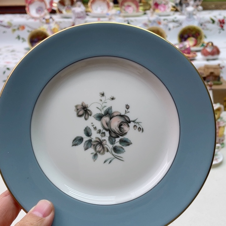 盘维多利亚欧洲中古