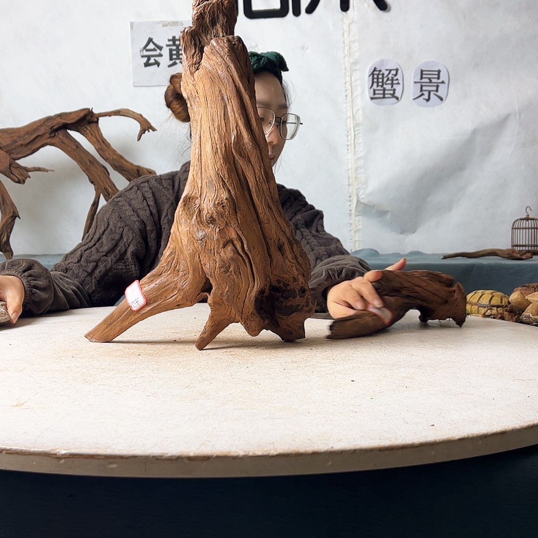 西****钢沉木造景寄居蟹景