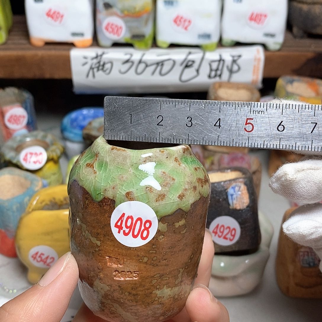 红陶拍5送一个小