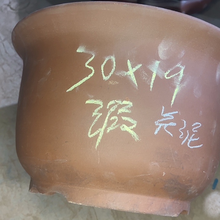紫砂艺术学院美术