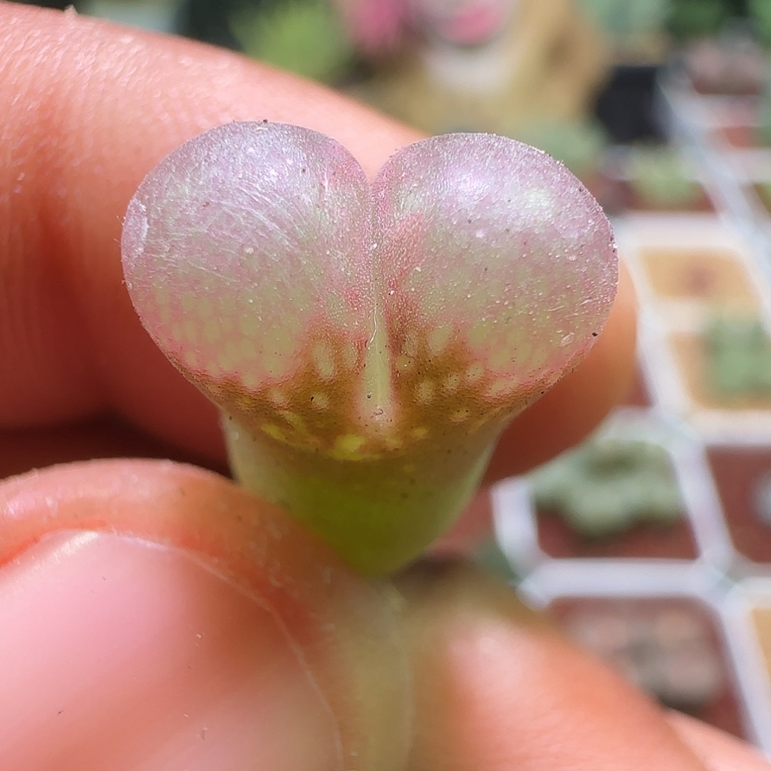 大降价福利来啦569