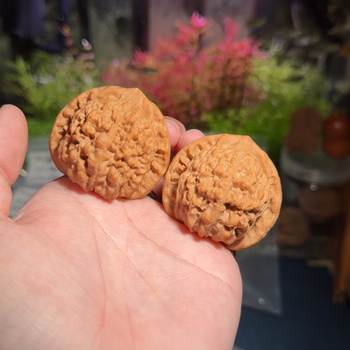 48麒麟纹官帽文玩核桃