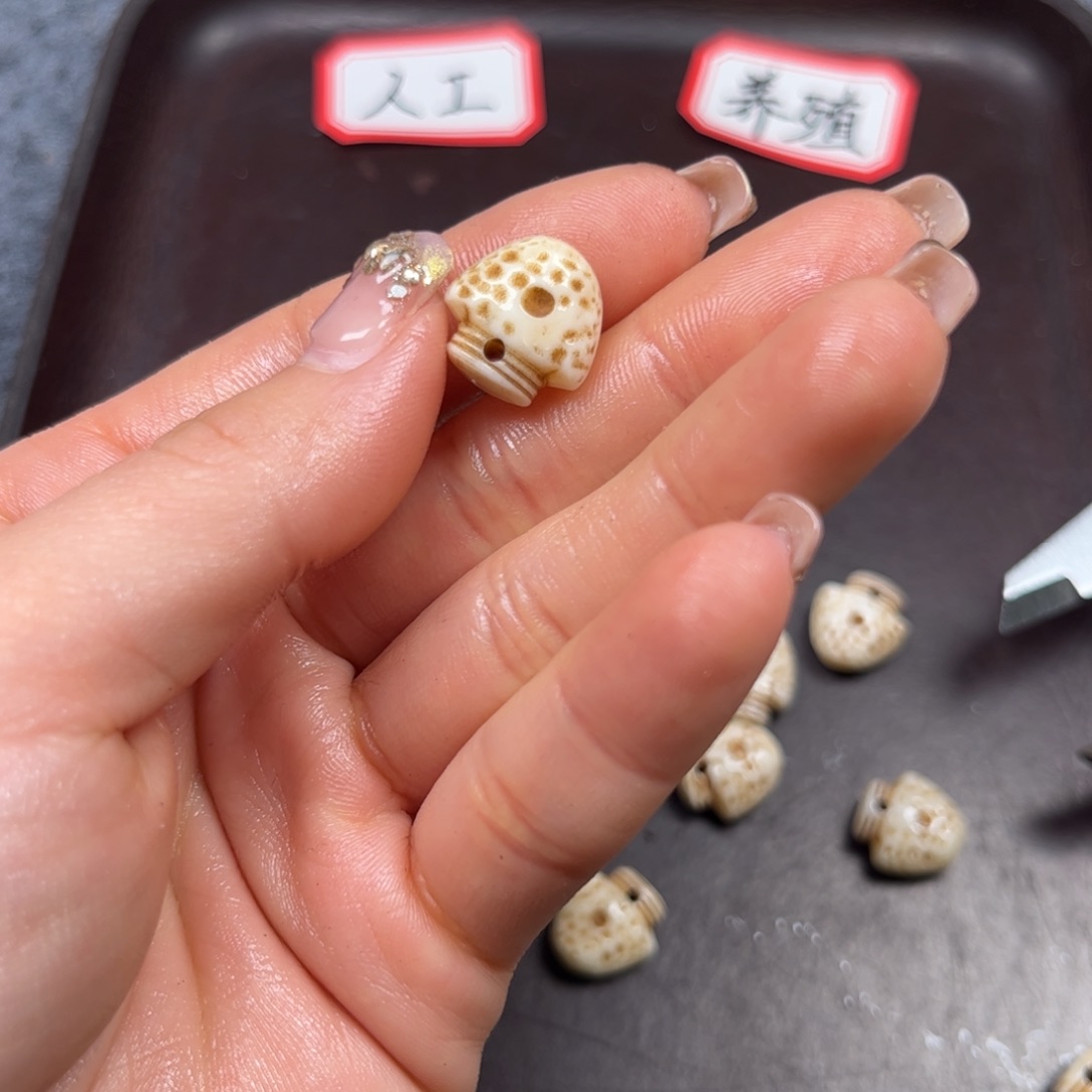 驼骨手串/手链编号22