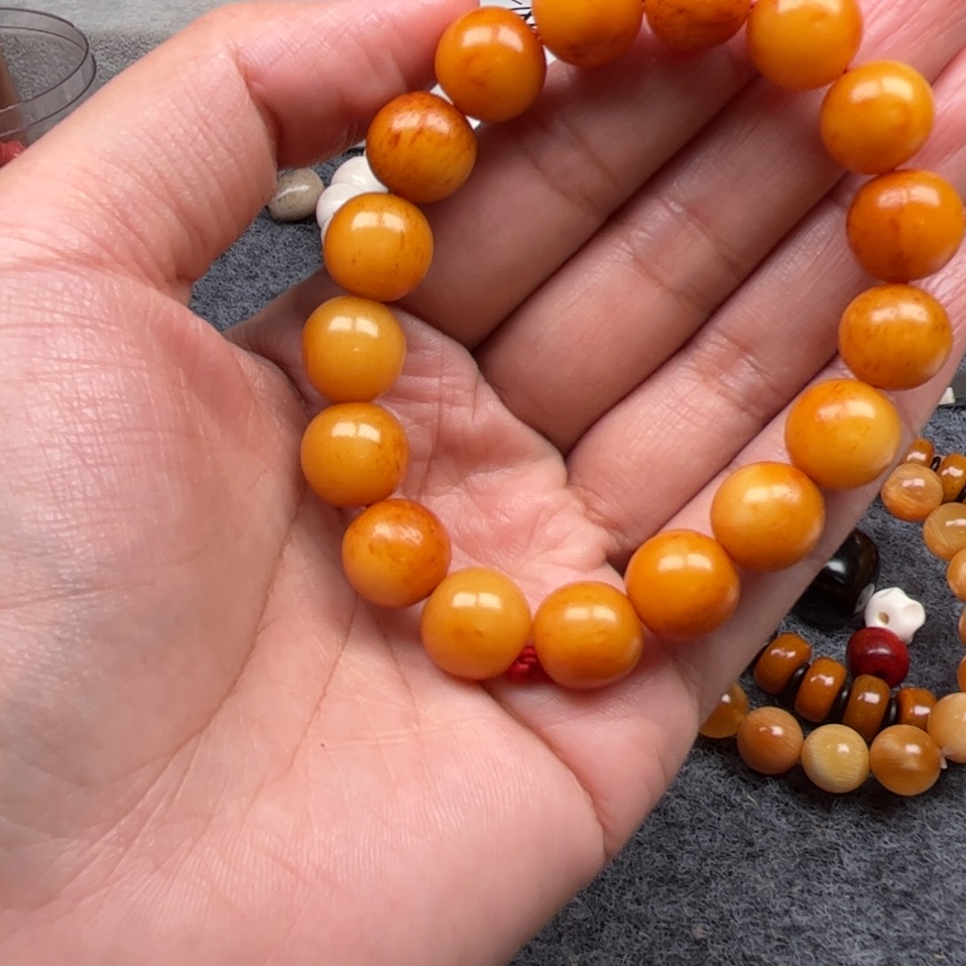 鹿骨其他人工养殖驼骨60