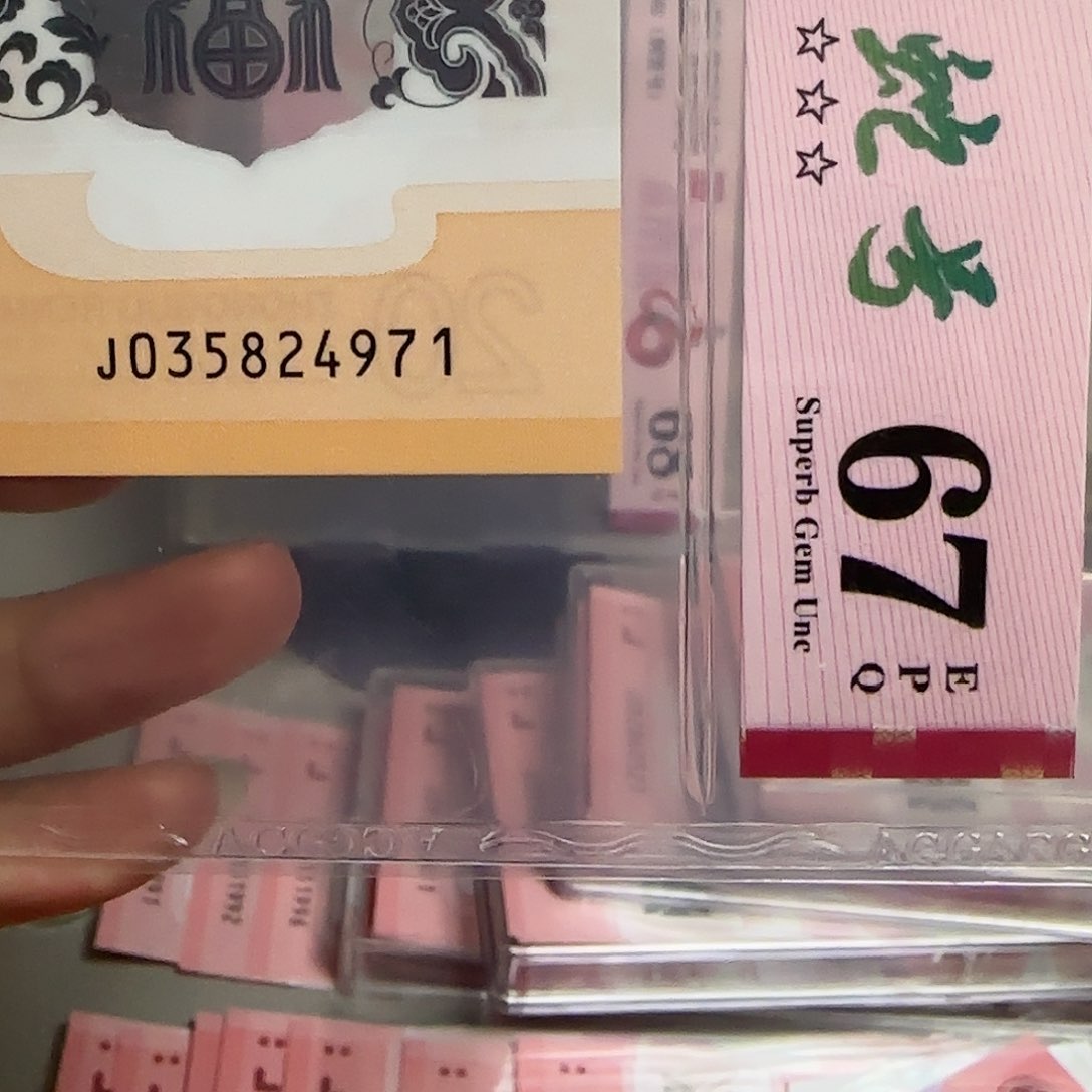 塑料2024龙年纪念钞乱蛇