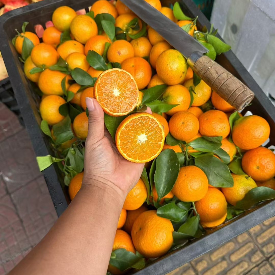 沙糖桔15元2公斤云南省
