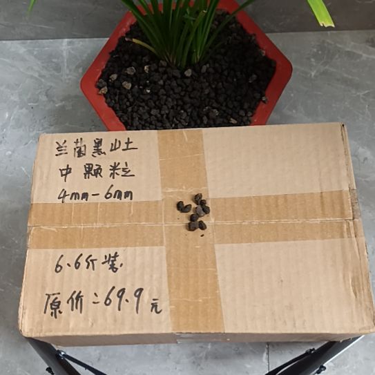 随****兰菌黑山土中颗粒6.6斤