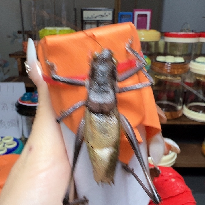 蝈蝈蝈蝈蝈蝈蝈蝈