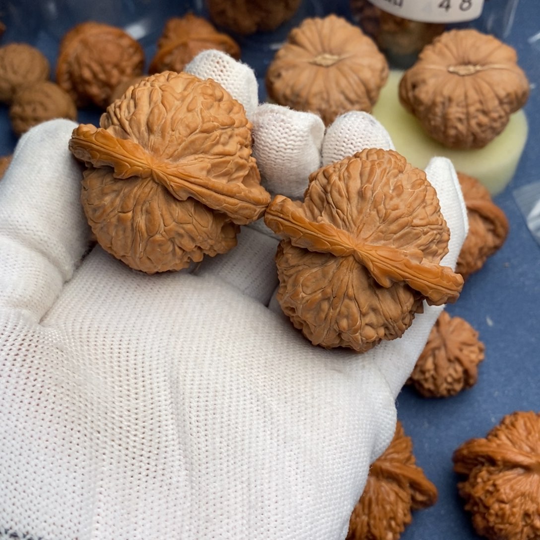 文玩核桃把件杨***.白狮子0119