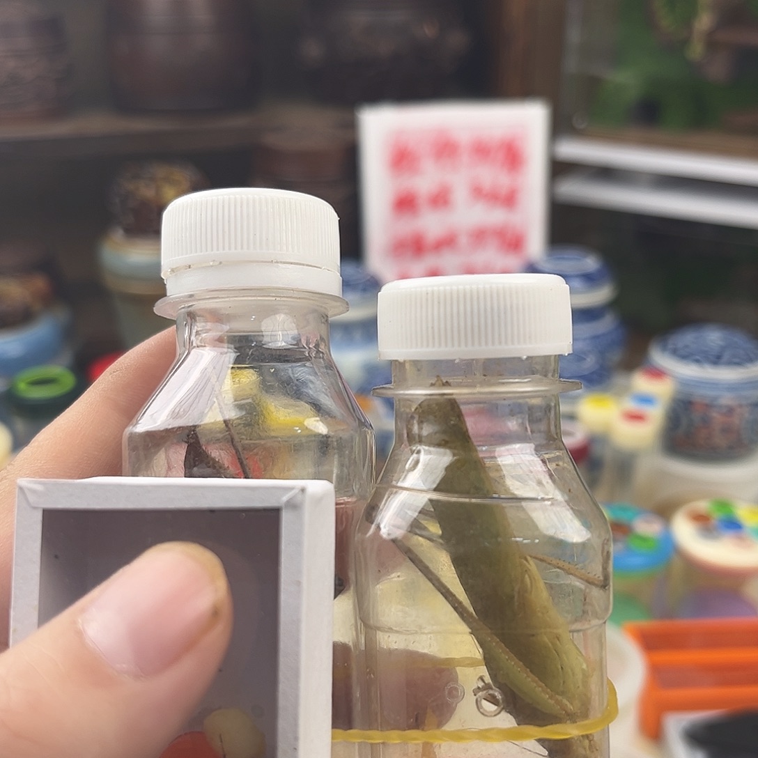 小***雨一个蛙纺一个紫竹