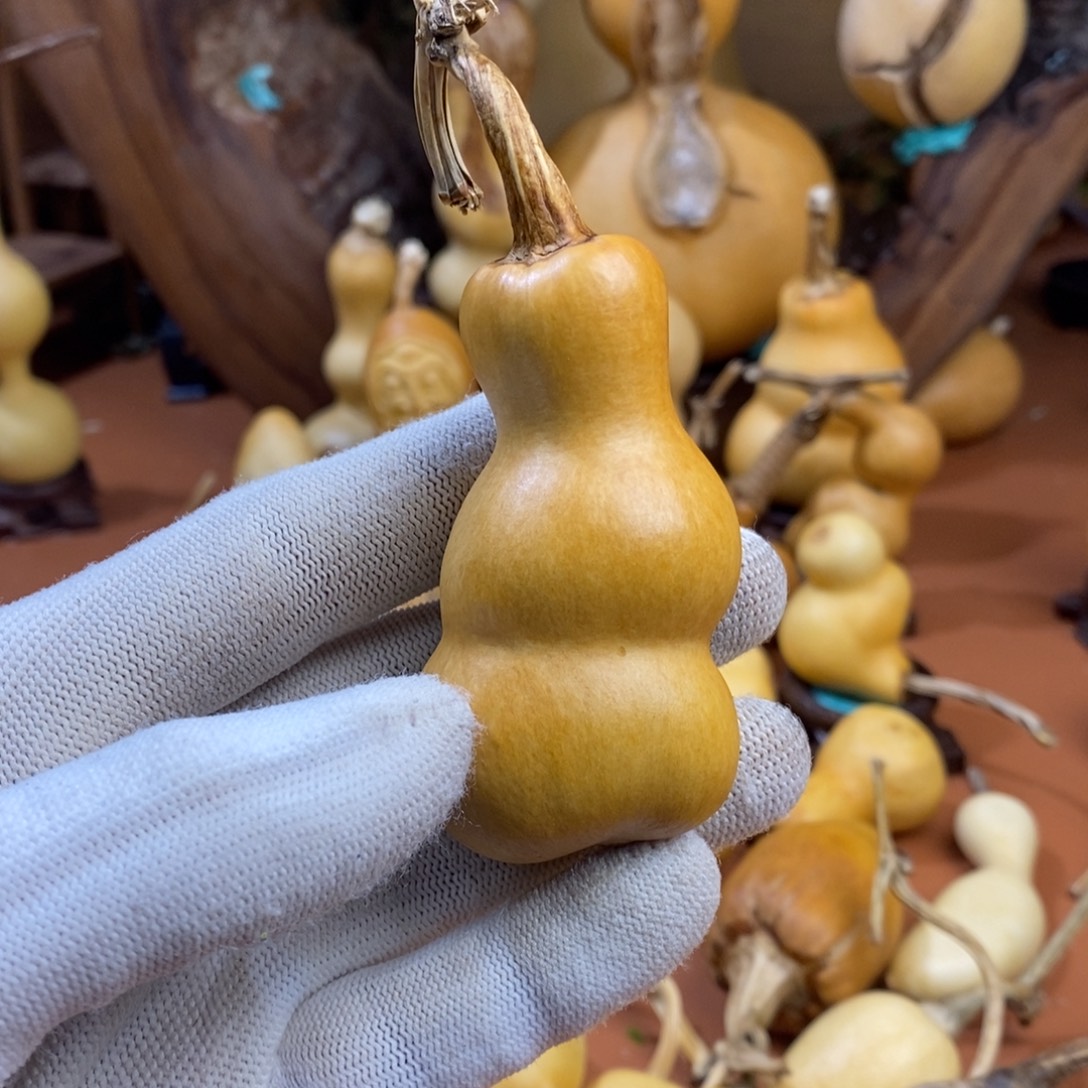 心***静教练教练教练经理