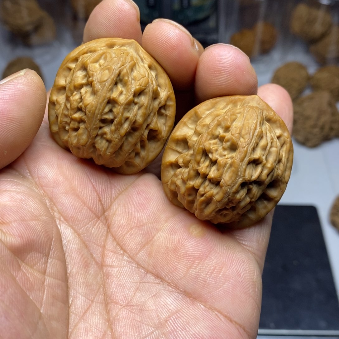 大叶紫檀（黑酸枝木类）