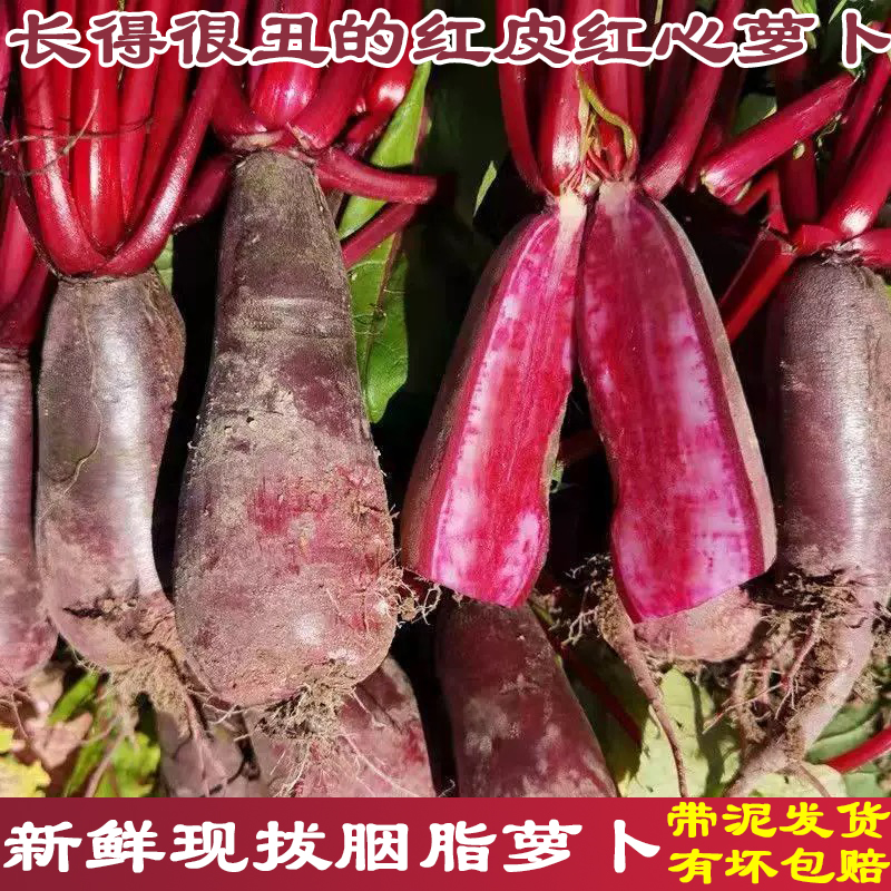 四川新鲜红心红萝卜现拔现发甜脆带泥发货