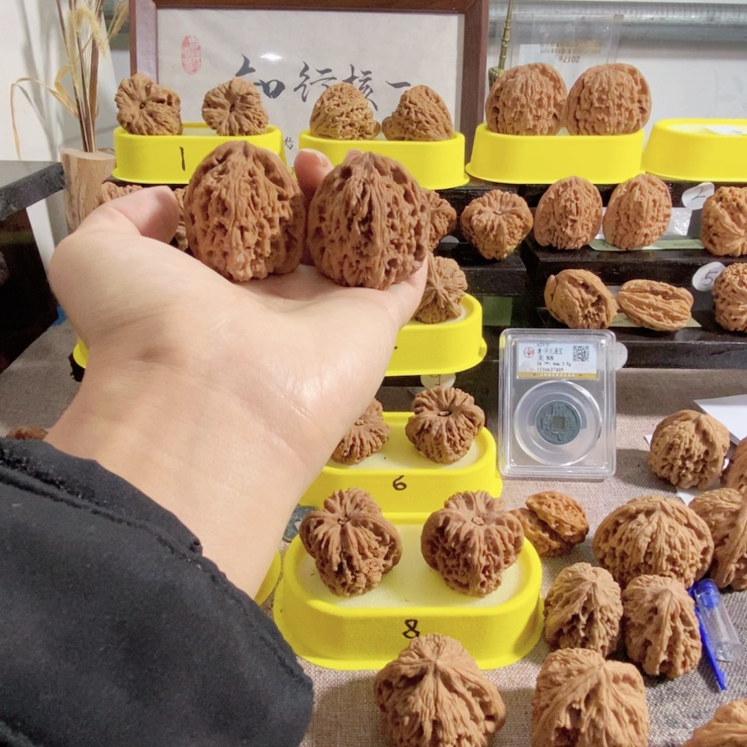 有***盔木质类一代红色冰雹