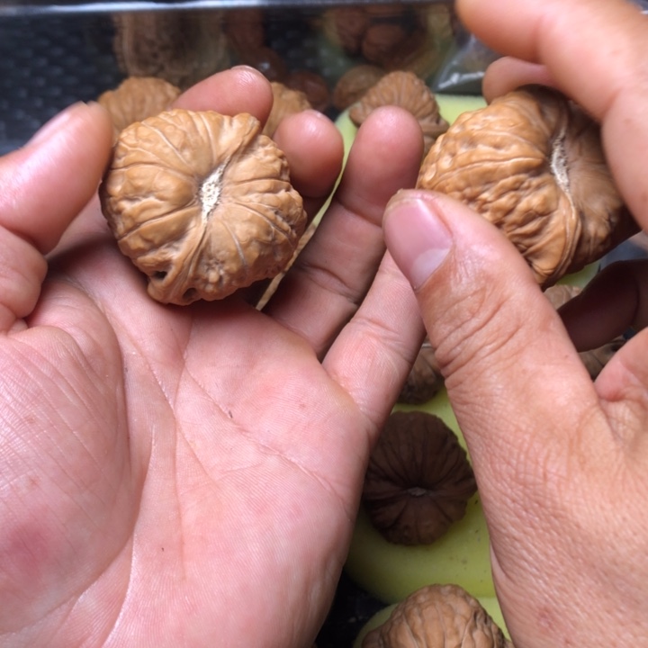 忆***大叶紫檀（黑酸枝木类）