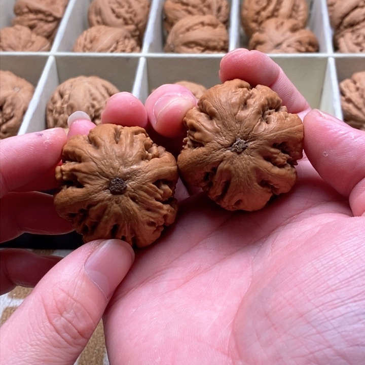 把件文玩核桃荔*