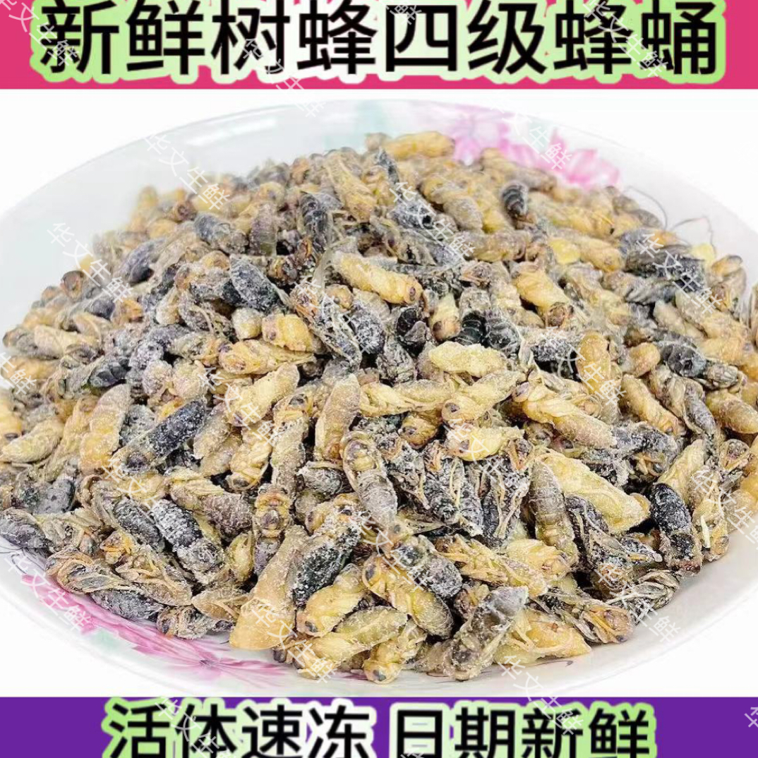 优质黄脚蜂四级小