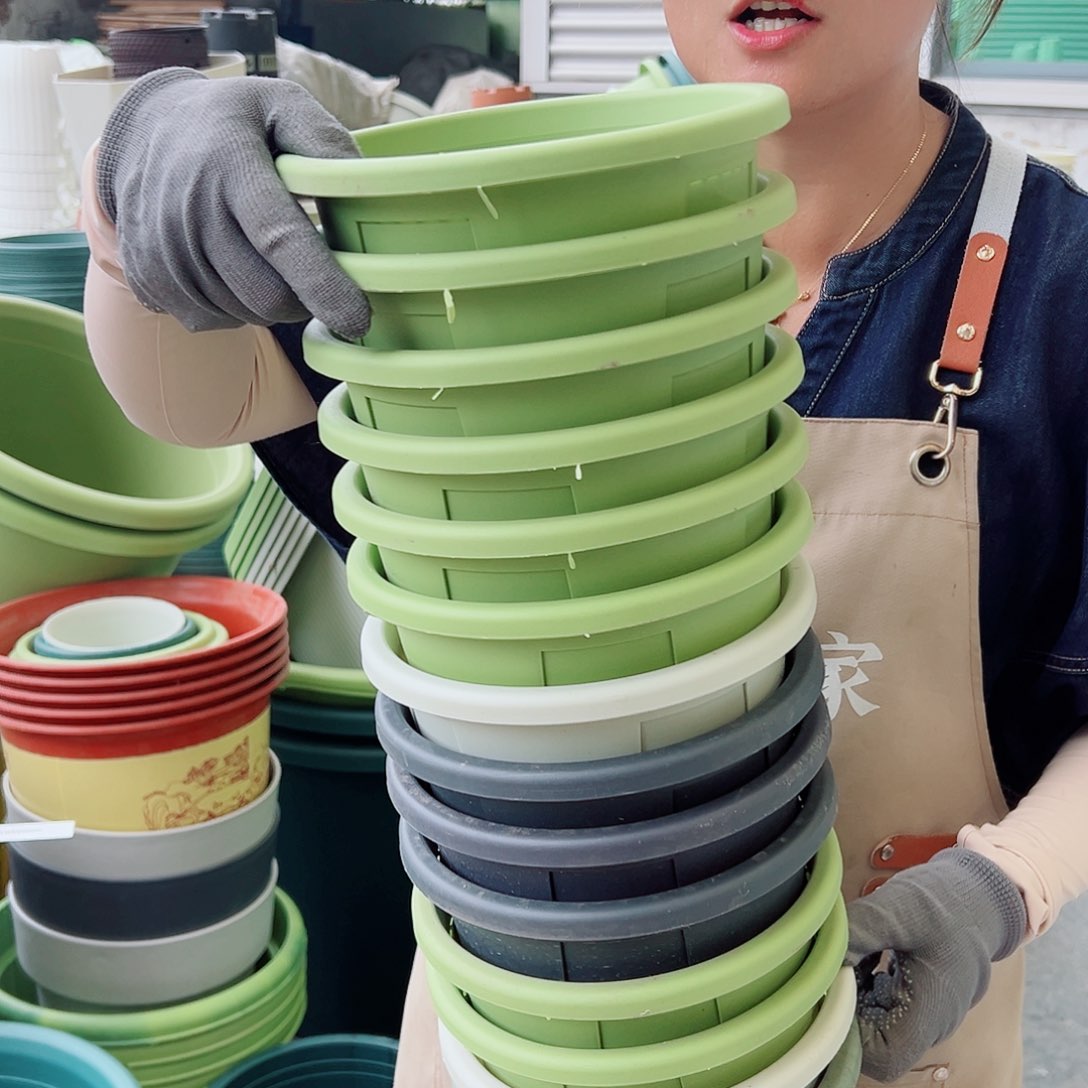 瑕疵玫瑰200#混色6个无托