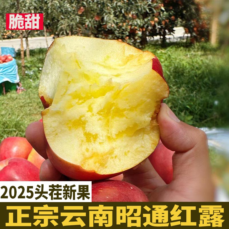 【正宗云南红露 脆甜无酸】昭通新鲜水果苹果产地直发冰糖心丑苹果