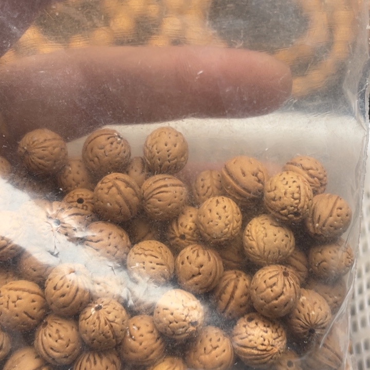 拽***哥核桃手串/手链私人定制不退不换118