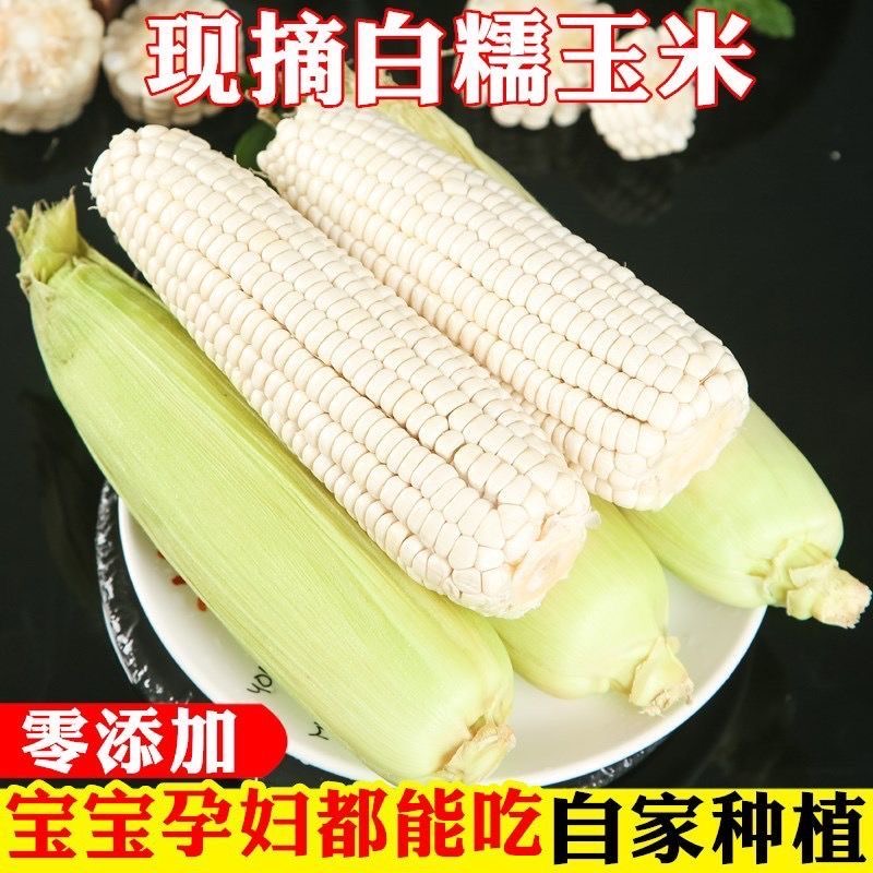农科糯336鲜玉米 白糯甜糯玉米4斤-7斤 保甜新鲜北京市