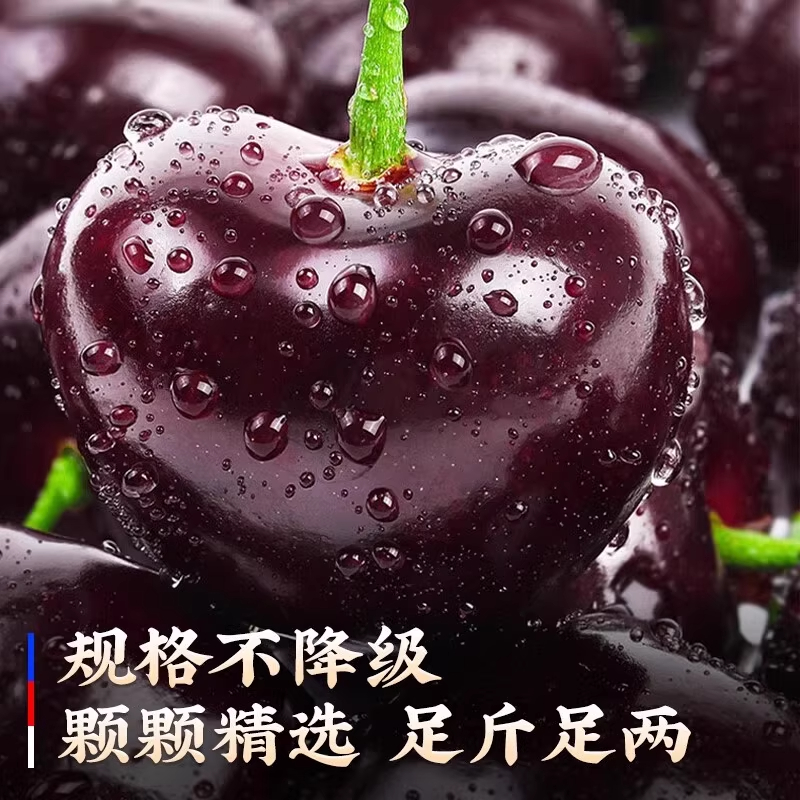  3JD【今天拍明天到】智利进口吉制海运车厘子头茬内附果径卡5斤装 LL1桑提娜车厘子桑提娜樱桃智利共和国