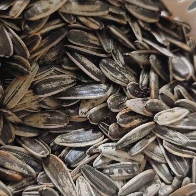 内蒙古原味好磕追剧内蒙古原味现炒瓜子皮薄好磕追剧必备零食