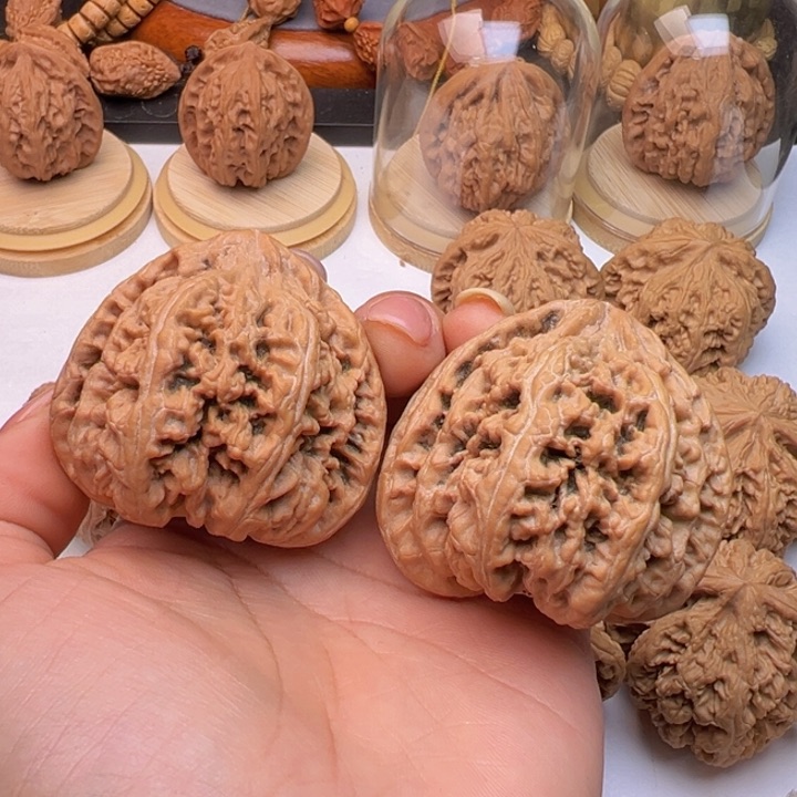 文玩核桃把件粗筋47+全品