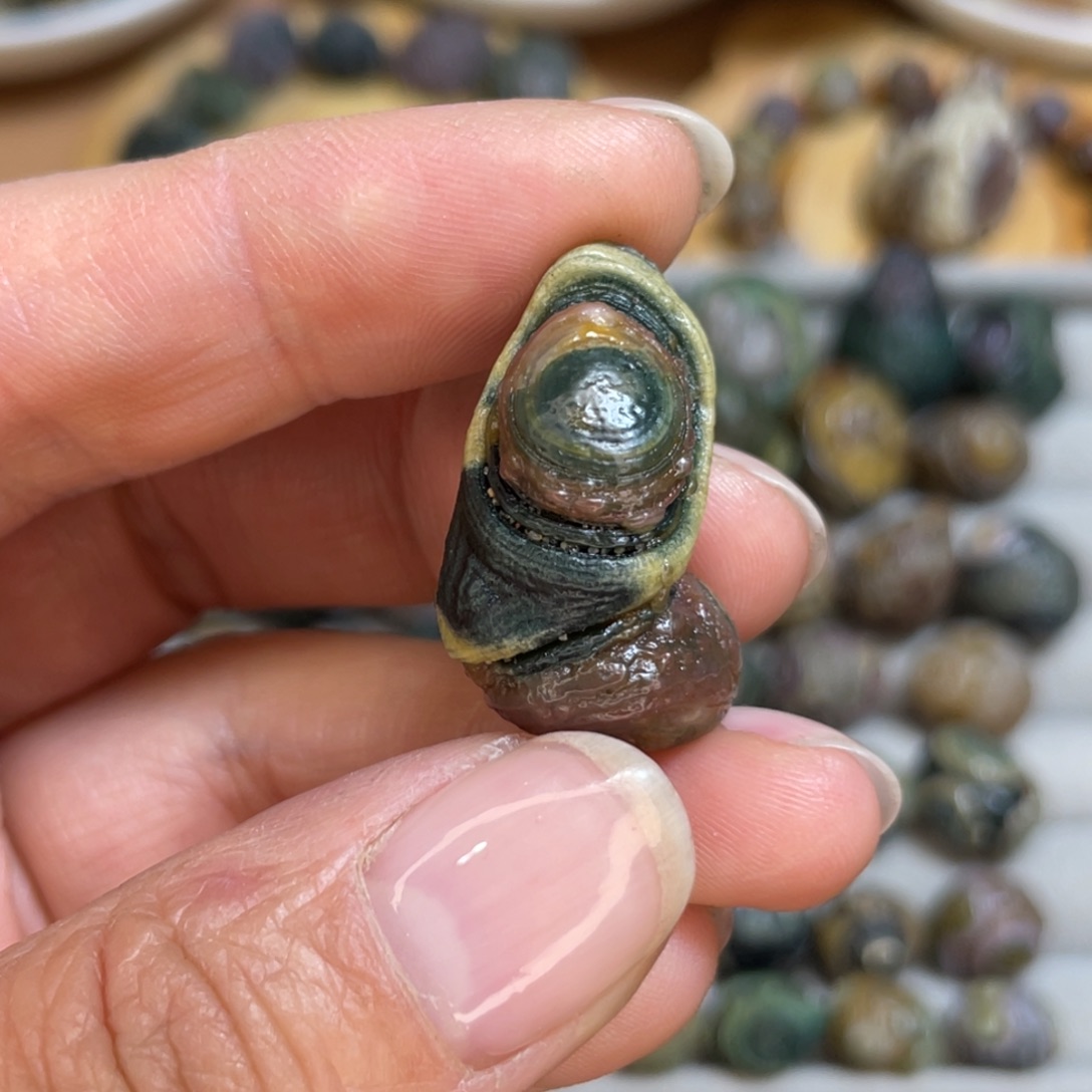 大理石非金属卷螺珠高浮雕眼睛石