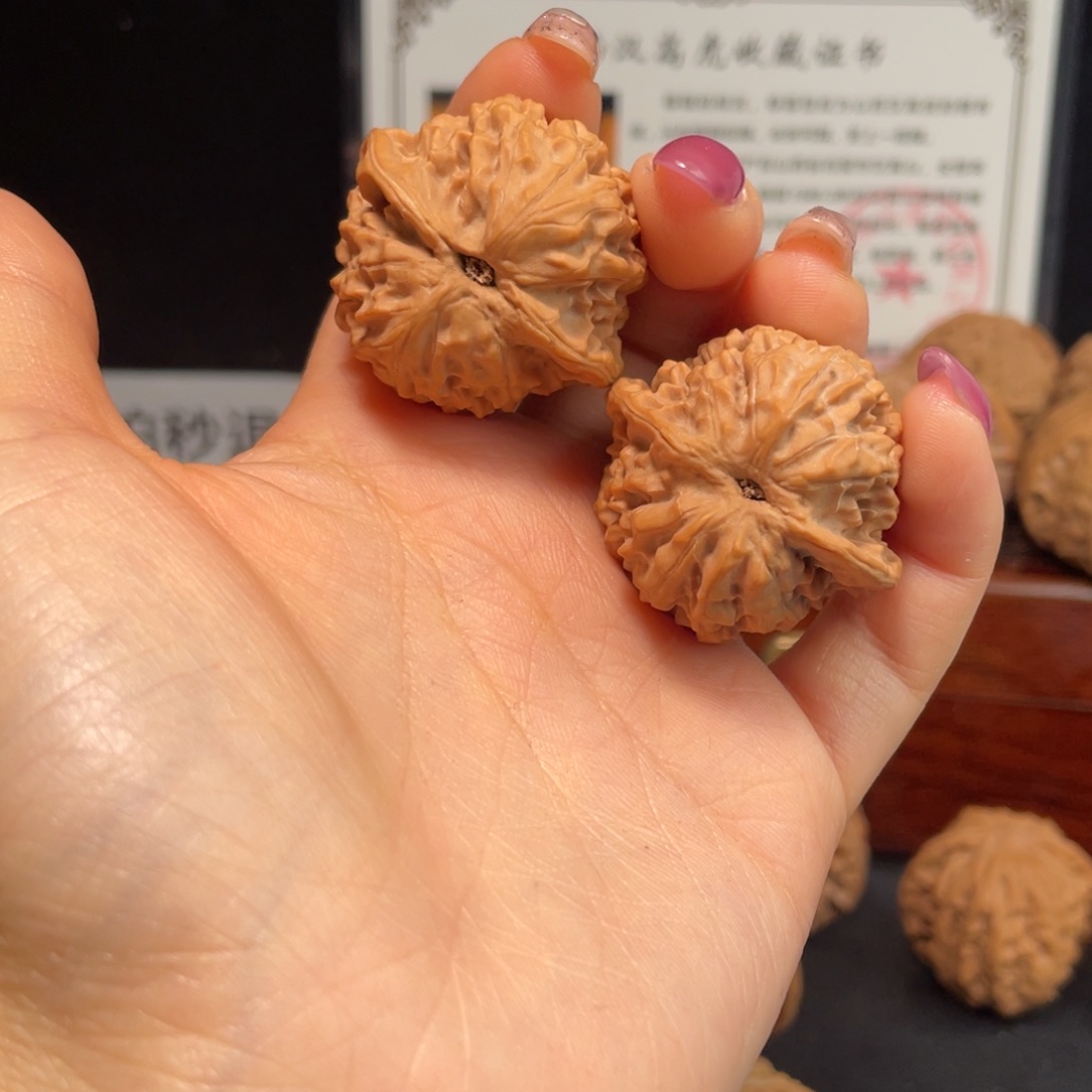 烬***南吊坠文玩核桃野生龙珠34尺