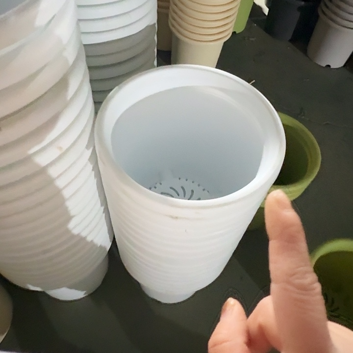 四季7号纯白无托10个瑕疵